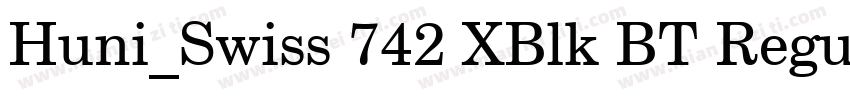 Huni_Swiss 742 XBlk BT Regular字体转换